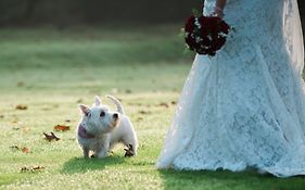 Cantley House Hotel - Wokingham